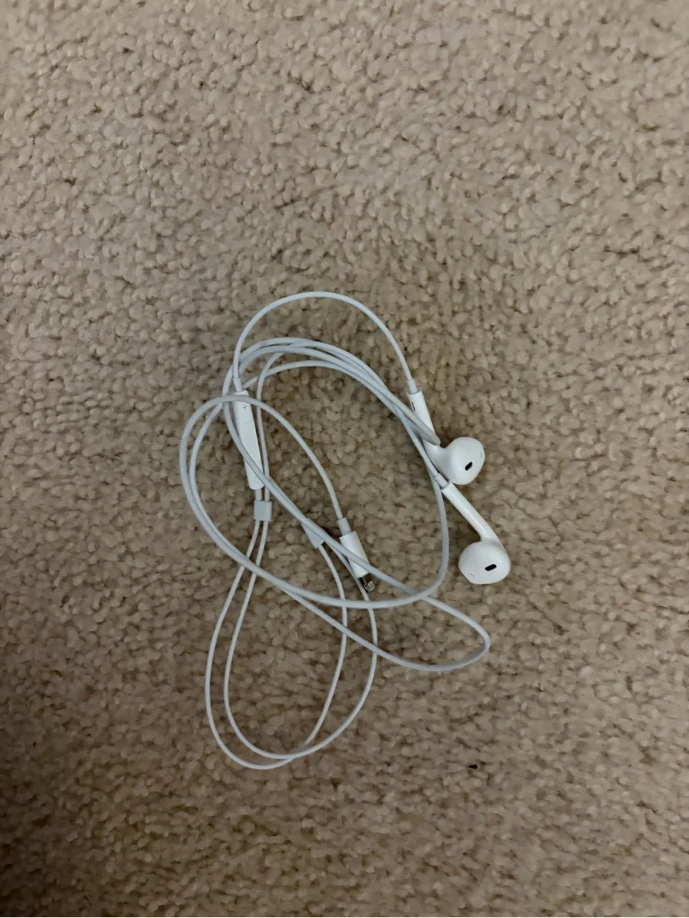 Apple earbuds lightning